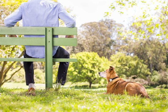 Whistle Acitivity Monitor for Dog