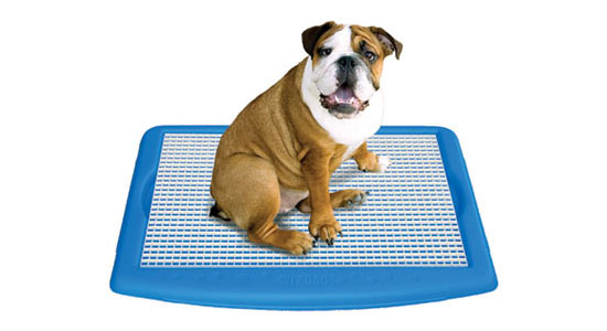 Wizdog Indoor Dog Potty